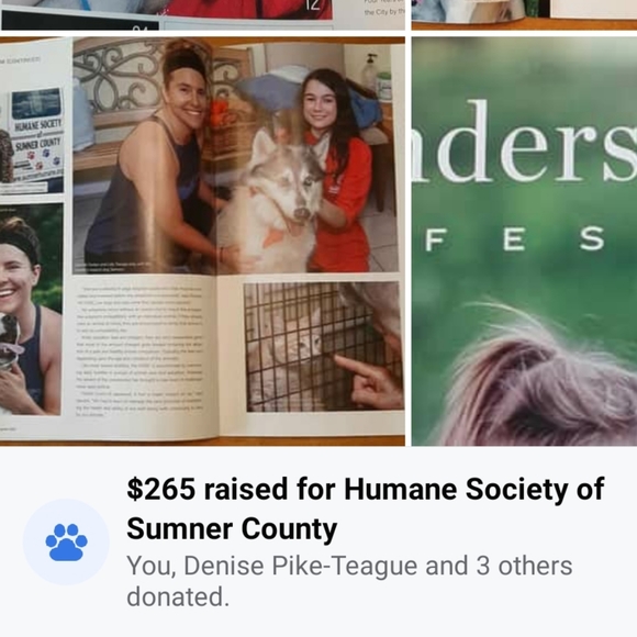 Updated: Why I Posh 🐶 🐈 - Picture 10 of 11